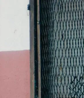 Imagen representativa del artículo