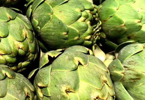 ¿Qué tan saludables son las alcachofas?