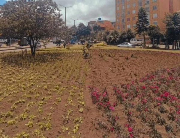 Jardín Botánico renovó 450 metros cuadrados de jardinera del barrio Bravo Páez 