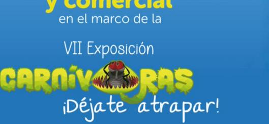 tarjeta noticia