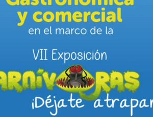 imagen nota inferior