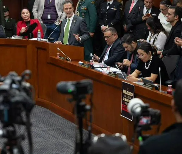 Canciller da detalles sobre relación con Israel: se concentrará en seguridad e inteligencia