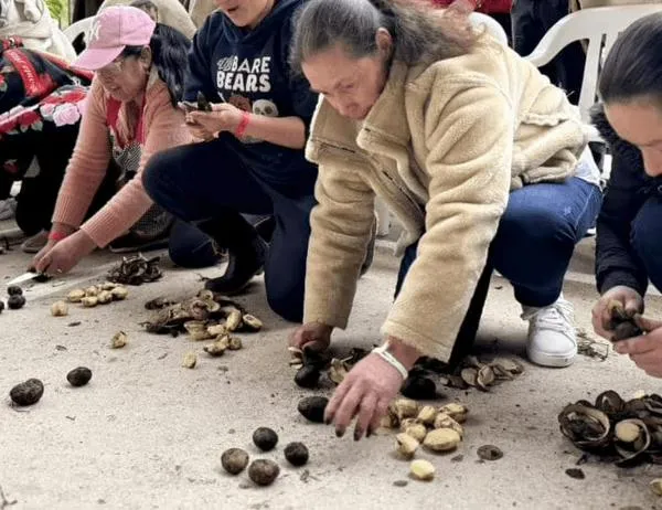 Sumapaz celebra el Día del Campesino y la Campesina Sumapaceña 2026 