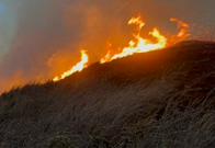 Al menos 100 hectáreas y cinco viviendas resultaron afectadas tras incendio en Altos de Menga