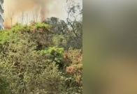 ¡Atención! Se registra incendio forestal en el oeste de Cali; bomberos atienden emergencia