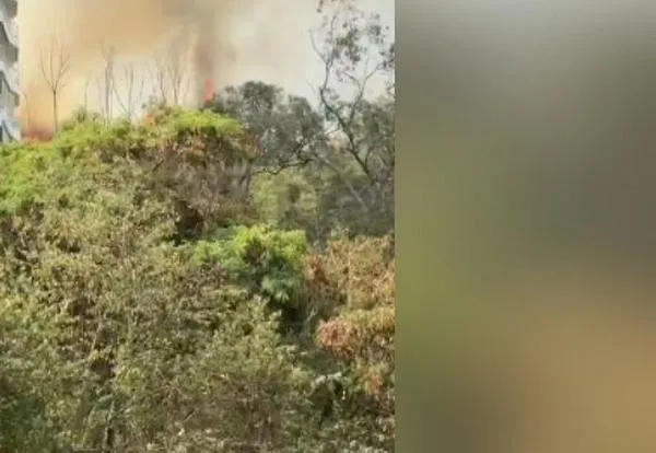 ¡Atención! Se registra incendio forestal en el oeste de Cali; bomberos atienden emergencia