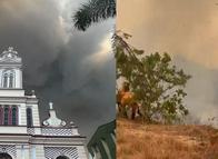 ¡Devastador panorama! Chaparral enfrenta una situación crítica