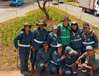 Dos jardineras de la calle 26 volvieron a florecer gracias a intervención del Jardín Botánico de Bogotá 