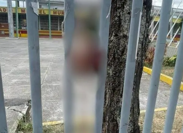 ¿Provocación antes del Tolima-América? Inquietante escena en Ibagué