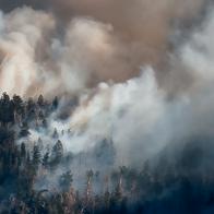 Incendio forestal