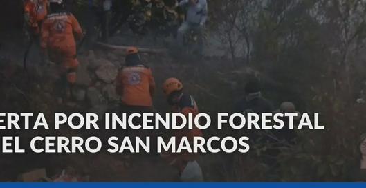 tarjeta noticia