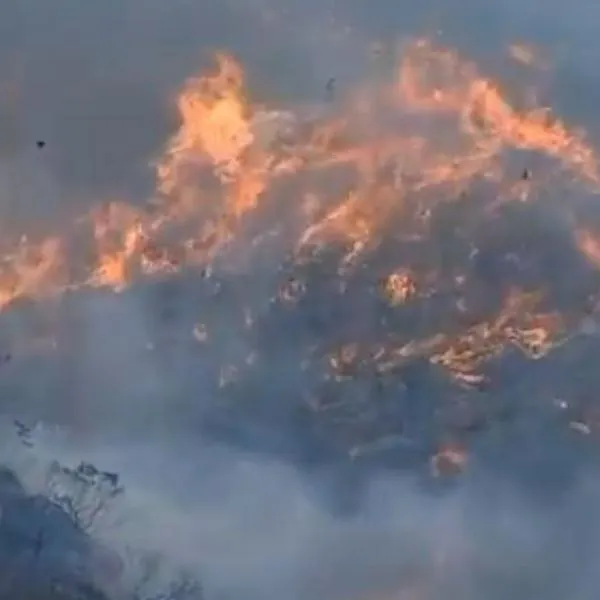 El ministro de Ambiente, Fabio Arjona, reveló que el incendio forestal en el cerro San Marcos de Villa de Leyva habría sido provocado intencionalmente.