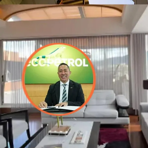 imagen principal home