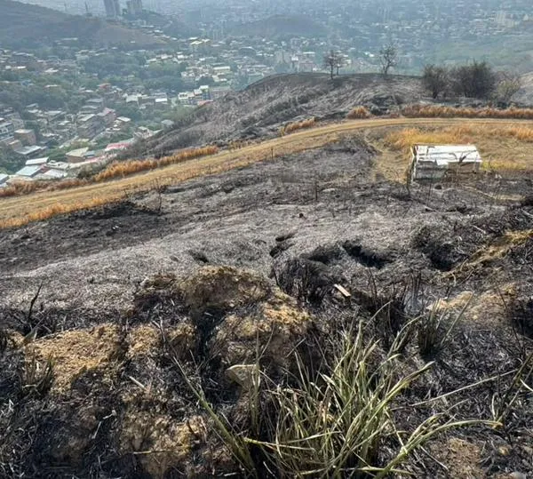 Tres incendios forestales mantienen en alerta al centro del Valle del Cauca