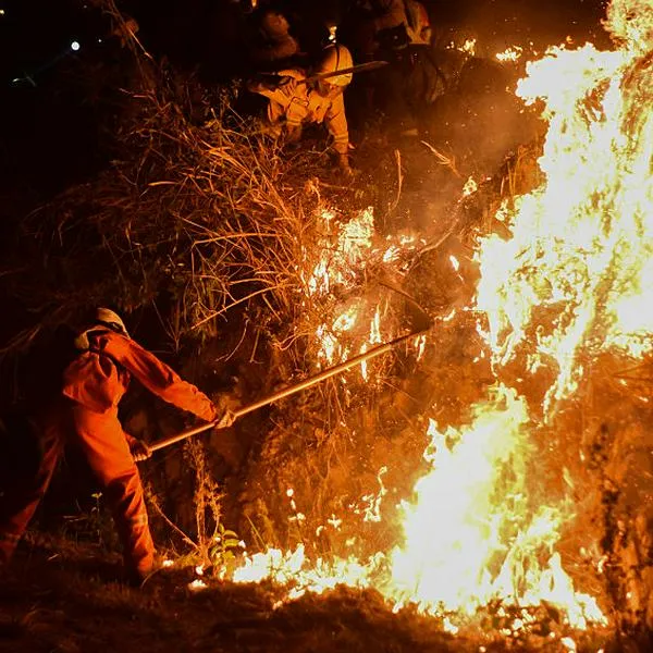Cuáles son los municipios con mayor riesgo de incendios forestales, según Ideam