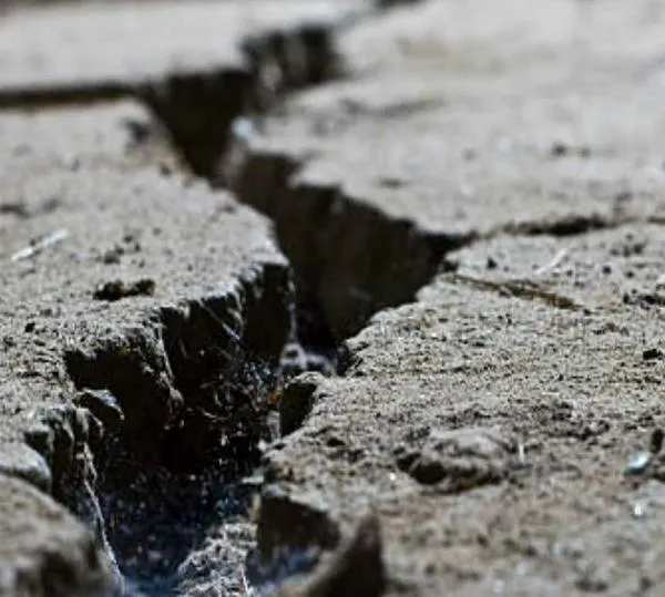 Sociedad Portuaria de Buenaventura destina $4.000 millones para reconstrucción de colegios tras el terremoto