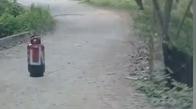 Hallan cilindro con siglas alusivas al ELN en zona rural de La Jagua de Ibirico: Ejército verifica el elemento