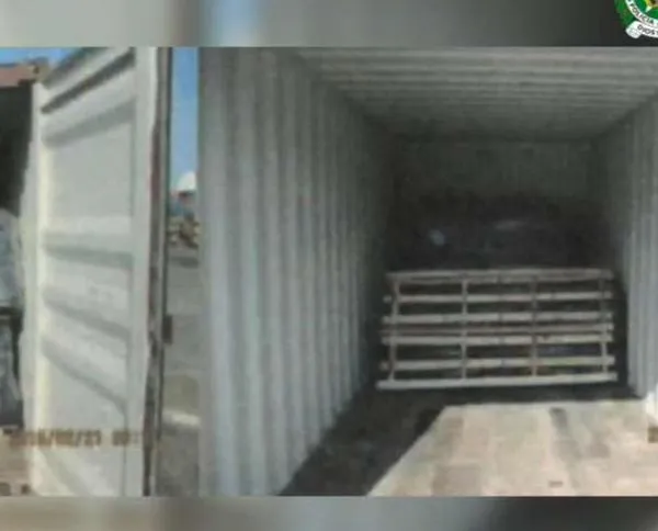 Condenan a tres hombres por intentar enviar cocaína oculta en cueros de vaca hacia Dinamarca