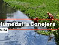 Intervienen 1.720 m² del Humedal La Conejera para proteger su ecosistema 