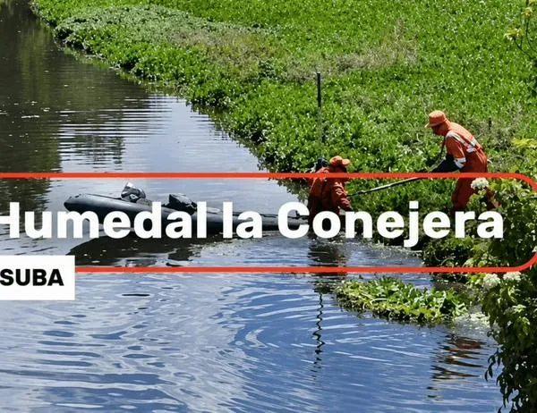Intervienen 1.720 m² del Humedal La Conejera para proteger su ecosistema 