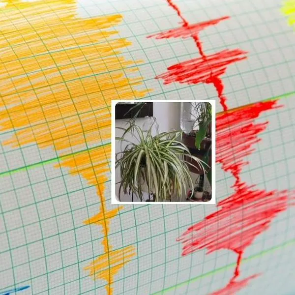 Temblor de 4.5 en Colombia 23 de septiembre de 2026: epicentro y dónde se sintió