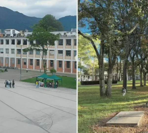 Universidad Nacional: ¿cuándo salen los resultados del examen de admisión 2027-1?