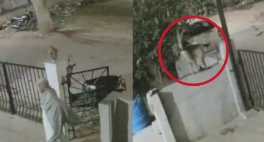image_desktop