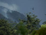 Apagar el fuego no acaba la emergencia: recuperar un bosque calcinado toma hasta 30 años 