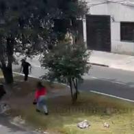 imagen secundaria