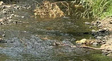 Se mantiene alerta amarilla por bajos niveles de los ríos Cali y Meléndez