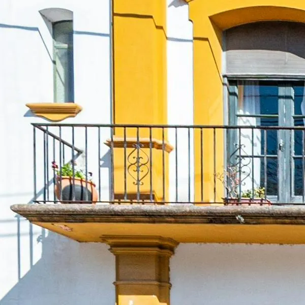 Corte Constitucional elimina el uso de animales en vehículos de tracción para actividades turísticas