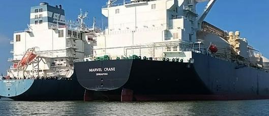 tarjeta noticia