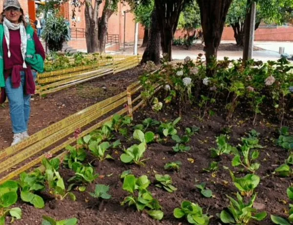 Conoce la nueva cara de la jardinera de Unilago después de intervención del Jardín Botánico de Bogotá 