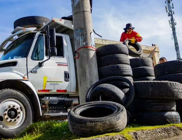 San Cristóbal retira 318 llantas en nueva jornada de limpieza para proteger el ambiente y mejorar los espacios públicos 