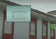 Condenan a 7 exempleados de fundación en Ibagué que torturaron a menores de edad: “Los amarraban”
