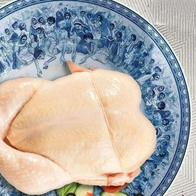 Diferencias entre el pollo amarillo y el pollo blanco y cuál escoger