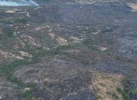 Incendios en Chaparral afectaron cerca de 8.000 hectáreas: la solidaridad que ayudó a proteger las veredas