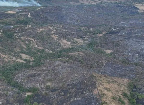 Incendios en Chaparral afectaron cerca de 8.000 hectáreas: la solidaridad que ayudó a proteger las veredas