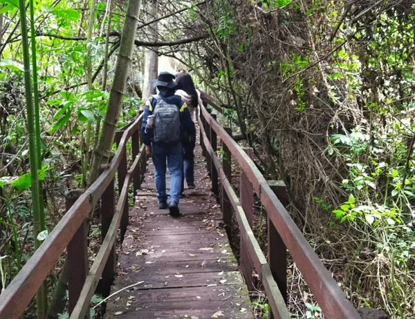 Así se vive una caminata ecológica por La Conejera, uno de los humedales más emblemáticos de Bogotá 
