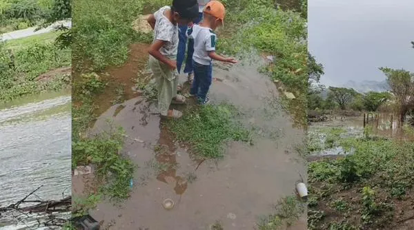 “Necesitamos ayuda”: campesinos denuncian inundaciones y pérdidas en Aguas Blancas