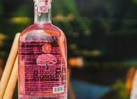 Así nace el Aguardiente Rosado del Tolima dentro de su fábrica