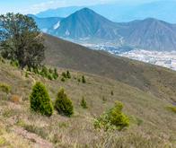 Un incendio en Quito dejó al descubierto un graderío inca de más de 500 años