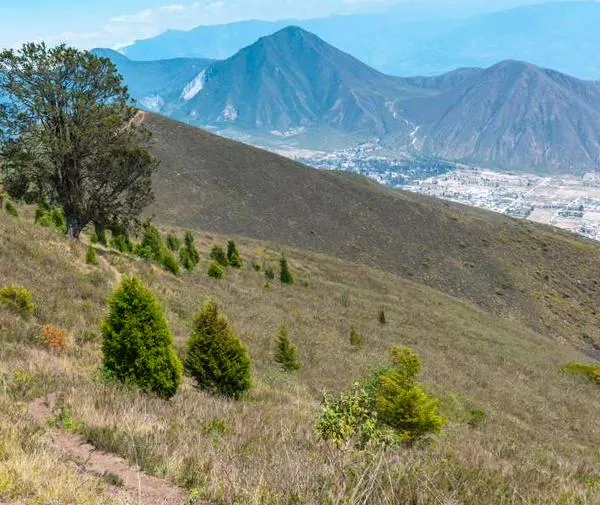 Un incendio en Quito dejó al descubierto un graderío inca de más de 500 años