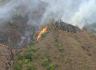 Fuego bajo tierra: bosque del Tolima enfrenta un incendio inusual
