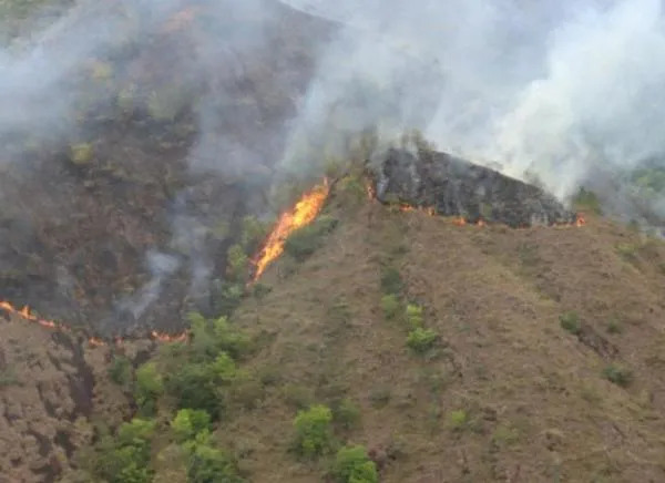 Fuego bajo tierra: bosque del Tolima enfrenta un incendio inusual