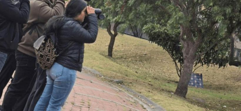imagen nota lateral