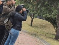 Explora los bosques urbanos de Kennedy con Labco en BibloRed ¡Inscríbete! 