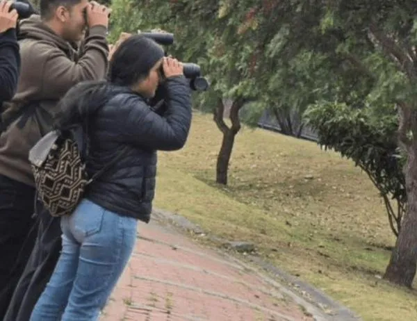 Explora los bosques urbanos de Kennedy con Labco en BibloRed ¡Inscríbete! 