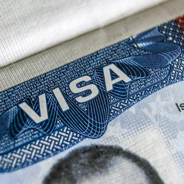 Visa USA in Foreign Passport for Tourism. High quality photo