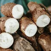 Yuca